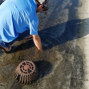 Roof Drains & Building Envelope